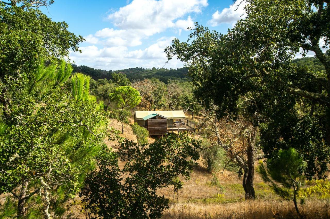 Figueirinha Ecoturismo Guest House Monte da Estrada Exterior photo